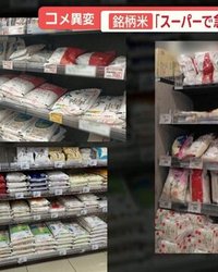 ここ数カ月、全国で「コメが手に入りにくい」との声が相次ぎ、スーパーの棚から銘柄米が姿を消していた。しかし今月に入り、突然銘柄米が店頭に並び始めた。小泉農水大臣による政府備蓄米の放出をきっかけに、ファミリーマートなど大手コンビニでは1キロ388円という手頃な価格での販売がスタート。瞬く間に完売するなど、消費者の需要の高さが浮き彫りとなった。