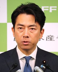 小泉進次郎農林水産相は12日、無関税で輸入できるミニマムアクセス（最低輸入量、MA）米のうち、主食用枠のコメについて、入札を今月27日に実施すると表明した。