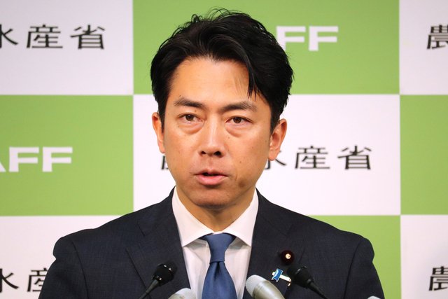小泉進次郎農林水産相は12日、無関税で輸入できるミニマムアクセス（最低輸入量、MA）米のうち、主食用枠のコメについて、入札を今月27日に実施すると表明した。