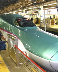 6月28日午後、東北新幹線「はやぶさ25号・こまち25号」が宮城県大郷町付近でクマと衝突し、仙台～盛岡間の上下線が一時運転を見合わせた。高架などを走るフル規格新幹線が野生動物と接触するのは極めて異例であり、侵入経路も不明。5本の列車に遅れが出て、約2300人の乗客に影響を与えた。