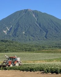 近年、中国人を中心とする外国資本による日本の不動産取得が相次いでいる。特に、北海道や長野、山梨などのリゾート地や、無人島を含む離島エリアへの関心が高まっており、法制度の隙間を突く乱暴な開発行為が問題視されている。