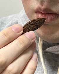 20260131-02142237-sspa-000-1-view