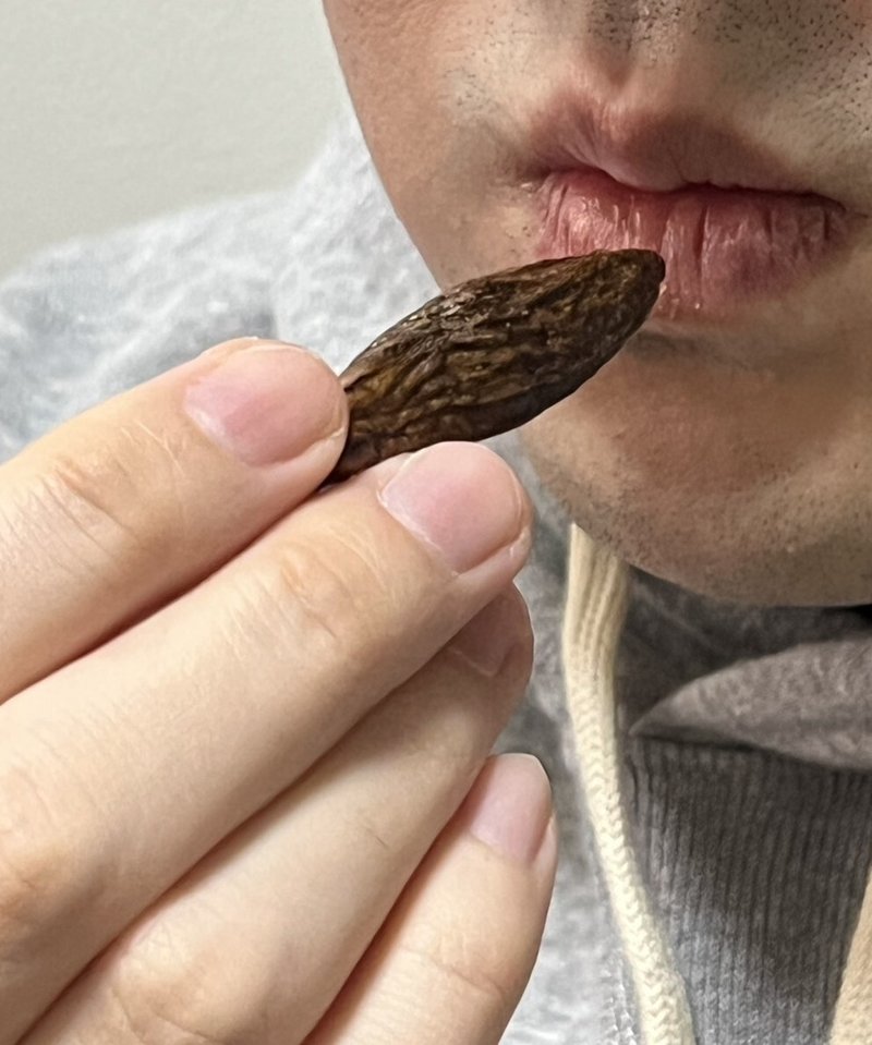 20260131-02142237-sspa-000-1-view