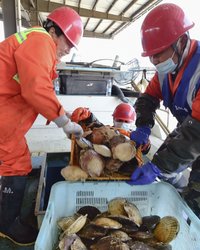 中国が日本産水産物の輸入停止を通達　深まる対立が日本経済と国民生活に突きつける現実的な危機