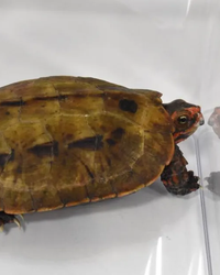 NE20251024G02329000200_00-1