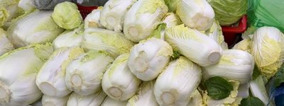 中国産白菜をホルムアルデヒド漬け　「鮮度を2～3日延ばす」危険な処理発覚、日本への流入を厚労省が確認へ