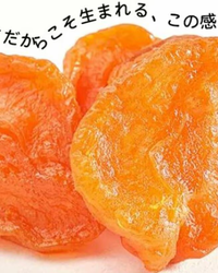 過去には中国産だった例も「3万円を80％オフで」全国有数の産地「千曲市産の干しアンズ」騙る偽サイトの相談相次ぐ　不自然な日本語などに市が注意呼びかけ　長野